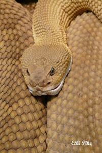 Ethi Pike - Rattlesnake Notebook