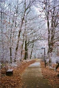 Beautiful Winter Path Journal