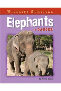 Elephants in Danger