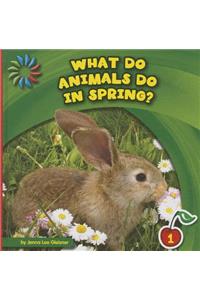 What Do Animals Do in Spring?