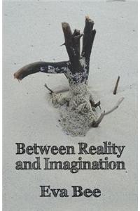 Between Reality and Imagination