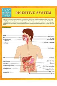 Digestive System (Speedy Study Guides)