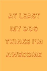 At least my dog thinks I'm awesome