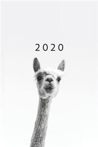 2020