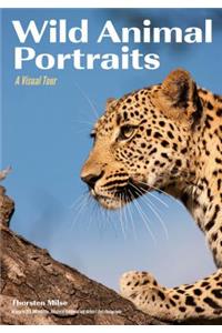 Wild Animal Portraits