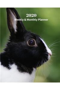 2020 Weekly and Monthly Planner