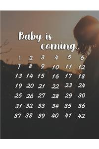 Baby Is Coming