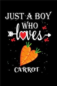 Just a Boy Who Loves Carrot