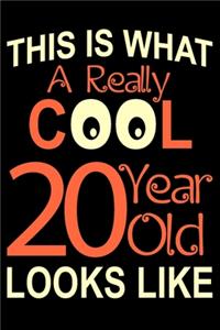 A Really Cool 20 Year Old