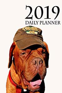 2019 Daily Planner (French Mastiff Edition)