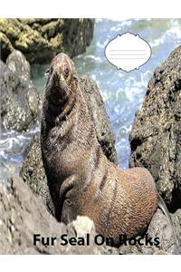 Fur Seal On Rocks On Cover wideruledlinepaper Composition Book