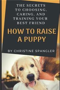 How to Raise a Puppy