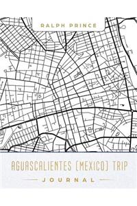 Aguascalientes (Mexico) Trip Journal