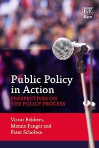 Public Policy in Action: Perspectives on the Policy Process