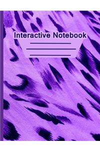 Interactive Notebook