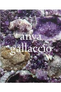 Anya Gallaccio