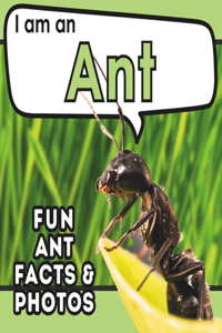 I am an Ant