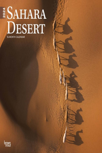 Sahara Desert 2024 Square