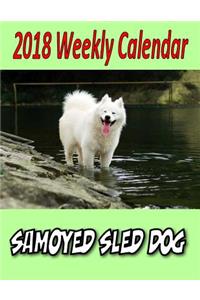 2018 Weekly Calendar Samoyed Sled Dog