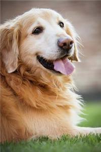 Cute Happy Golden Retriever Notebook