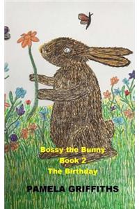 Bossy The Bunny The Birthday
