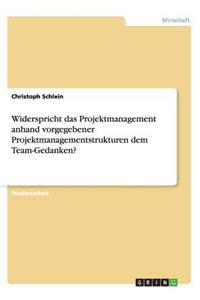 Widerspricht das Projektmanagement anhand vorgegebener Projektmanagementstrukturen dem Team-Gedanken?