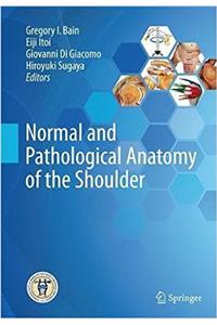 Normal and Pathological Anatomy of the Shoulder