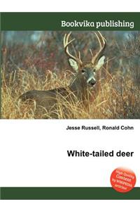White-Tailed Deer