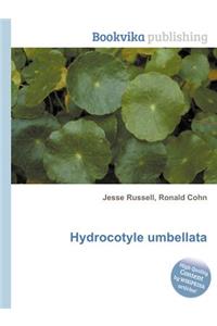 Hydrocotyle Umbellata
