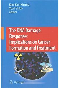 DNA Damage Response: Implications on Cancer Formation and Treatment