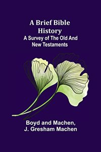 Brief Bible History