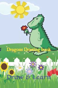 Dragons Drawing book