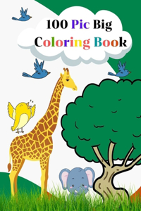 100 Pic Big Coloring Book