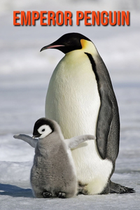 Emperor Penguin