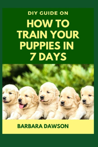 DIY Guide on How To Train Your Puppies in 7 Days