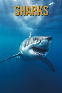 Sharks: Amazing Photos and Fun Facts Book