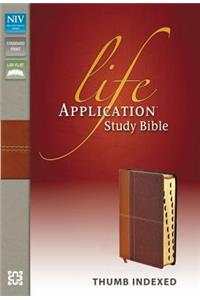 Life Application Study Bible-NIV