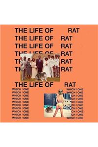 The Life Of Rat