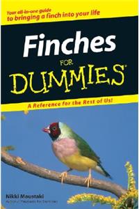 Finches for Dummies