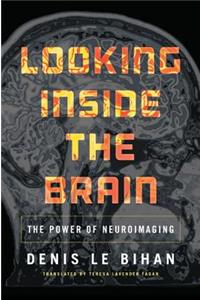 Looking Inside the Brain