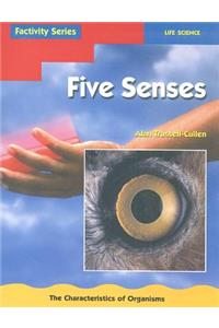 Five Senses