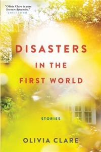 Disasters in the First World