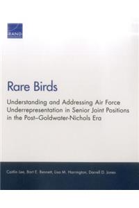 Rare Birds: Understanding and Addressing Air Force Underrepresentation in Senior Joint Positions in the Post-Goldwater-Nichols Era