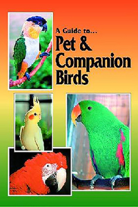 A Guide to Pet & Companion Birds