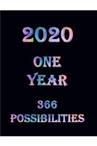 2020 One Year 366 Possibilities