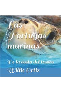 Las Tortugas Marinas