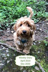 Weekly Diary April 2019-Dec 2020