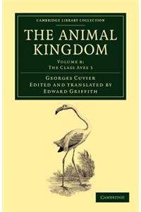 The Animal Kingdom