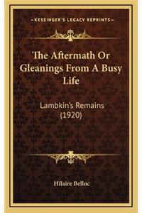 The Aftermath Or Gleanings From A Busy Life