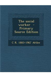 The Social Worker - Primary Source Edition